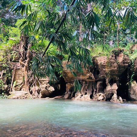 R5 Keramba Inn Bukit Lawang Exteriér fotografie